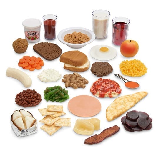 Kit de inicio de Réplica de alimentos de Nasco