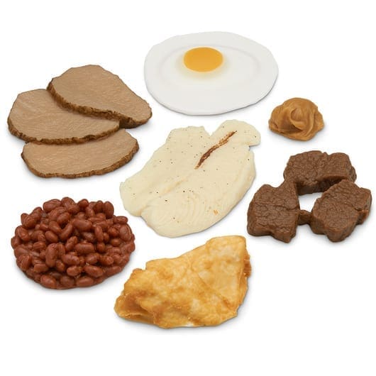 Kit de réplica de alimentos básicos de proteínas de Nasco