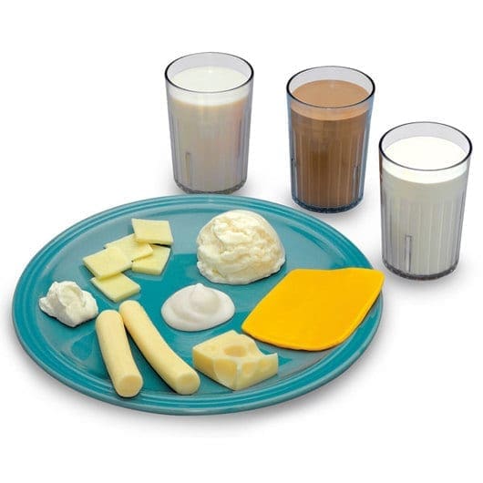 Kit de réplica de alimentos Nasco Big Milk