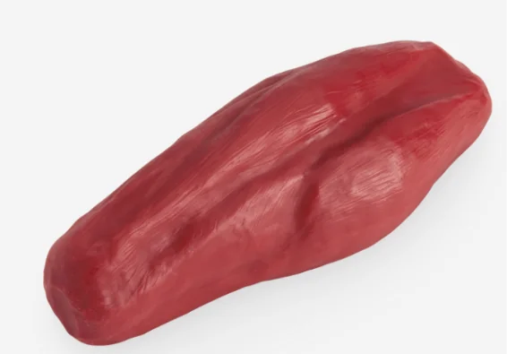 Réplica de Músculo de 5 lb – 2,3 kg