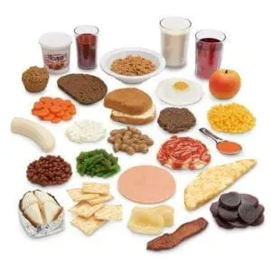 Kit de inicio de Réplica de alimentos de Nasco