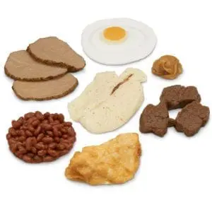 Kit de réplica de alimentos básicos de proteínas de Nasco